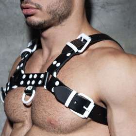 ADF119 LEATHER COLOR HARNESS