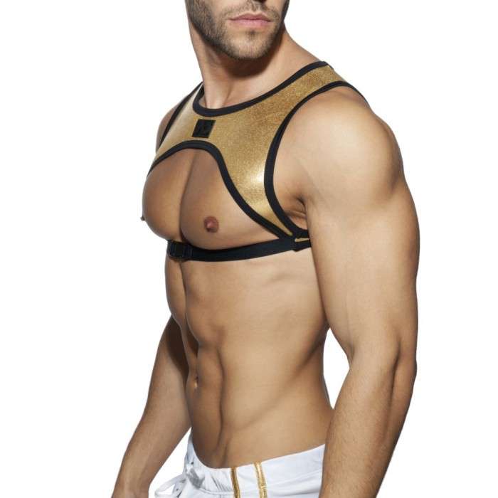 AD857 PARTY STRIPE HARNESS