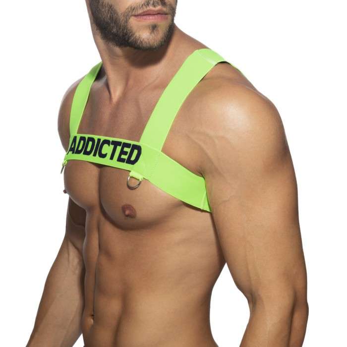 AD1128 NEON RING HARNESS